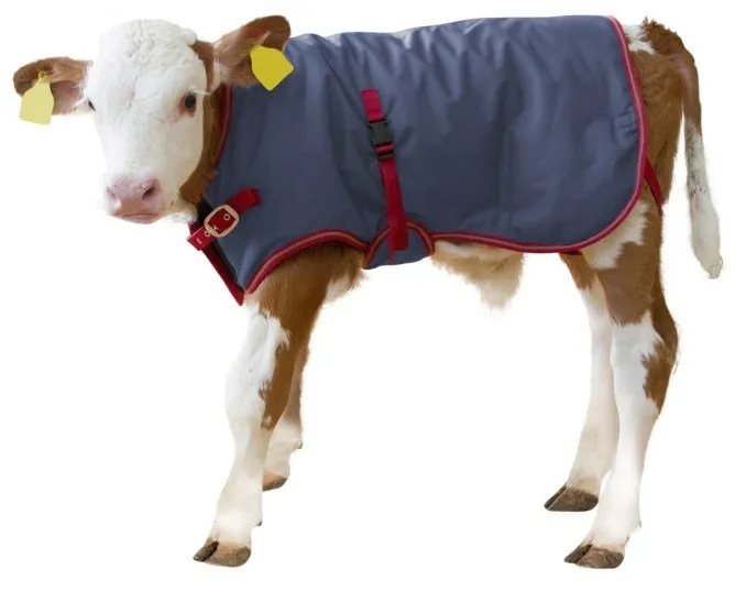 Kerbl Calf blanket ThermoPlus - 80cm